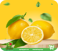 Lemon Import Fresh (Harga Per Buah / Pcs)